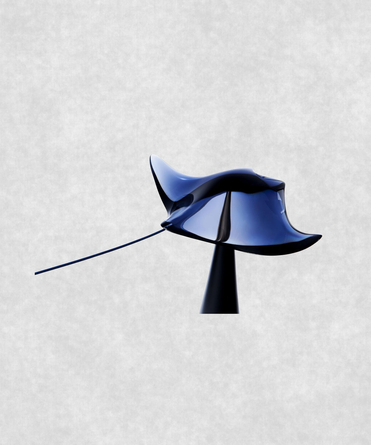 MANTA RAY POUR BUREAU