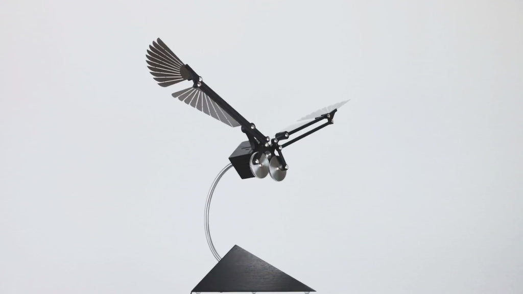 Aquila SE Silver Video