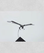 Aquila SE Silver Video