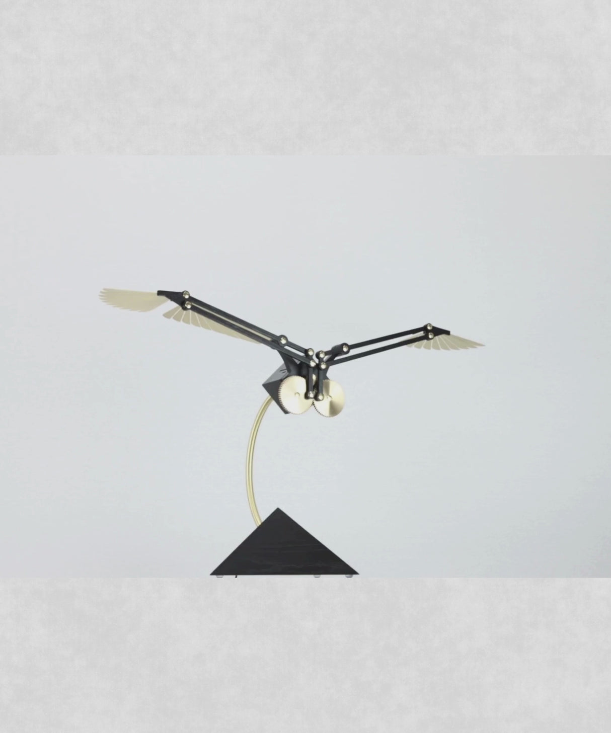 Aquila SE Gold Video