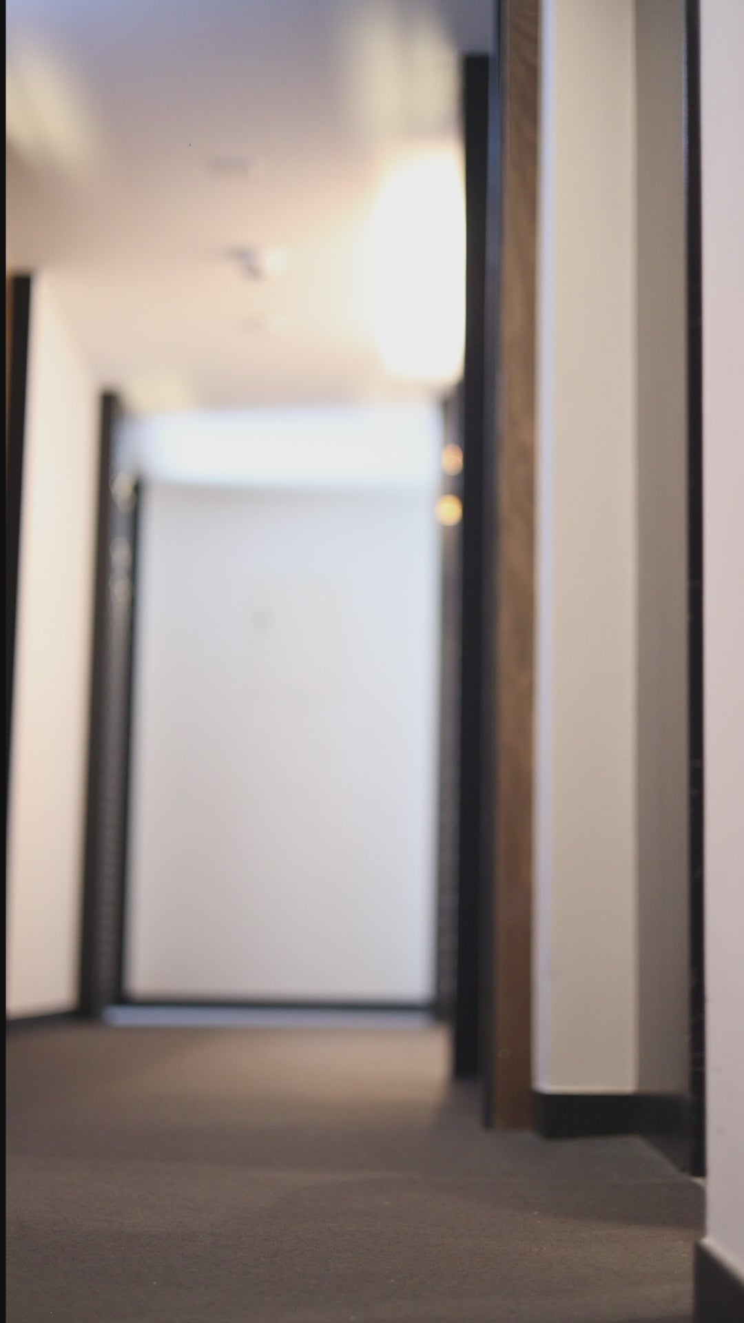 Video Photoshoot of Maison Davis Trolley Bag