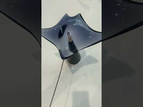 MANTA RAY