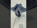 MANTA RAY